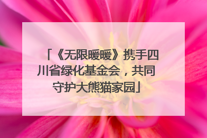 《无限暖暖》携手四川省绿化基金会，共同守护大熊猫家园